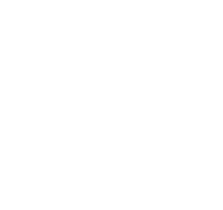 RollerHenne